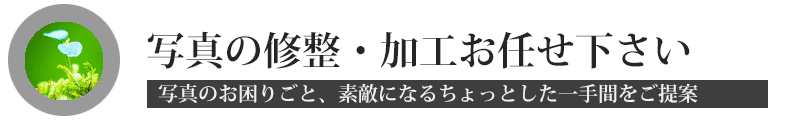 デジカメプリントの修正・加工お任せ下さい